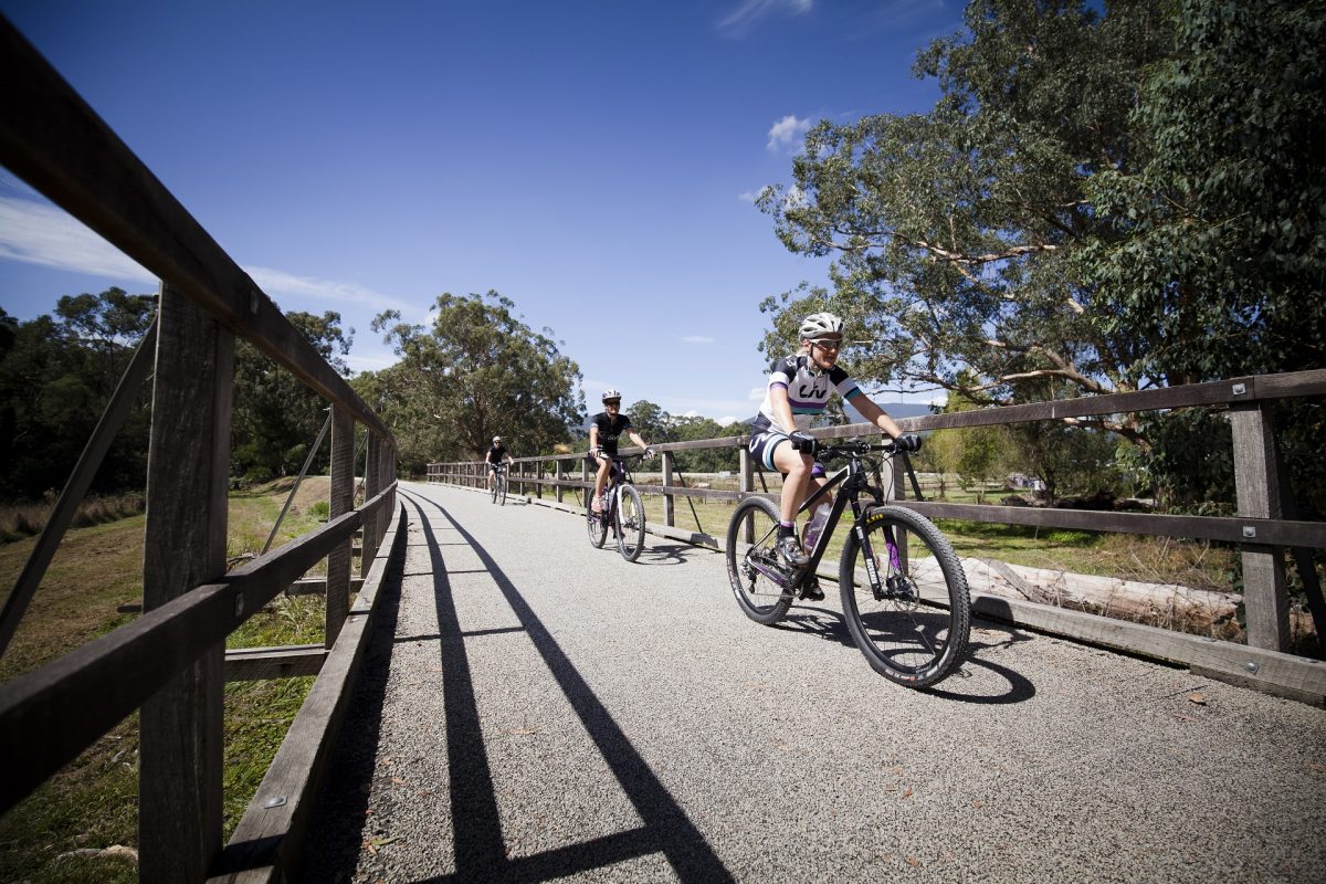 yarra trails mtb