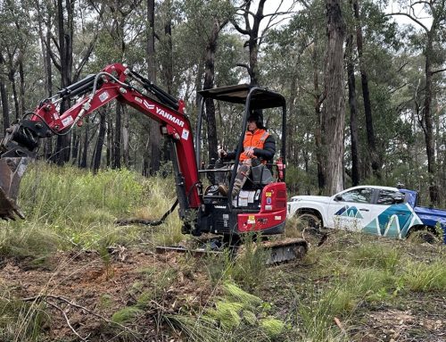 Construction underway on Warburton Mountain Bike Destination